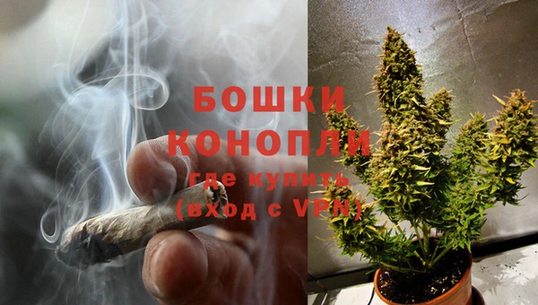 ГАЛЛЮЦИНОГЕННЫЕ ГРИБЫ Горнозаводск