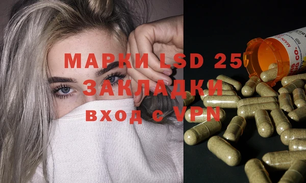 ГАЛЛЮЦИНОГЕННЫЕ ГРИБЫ Горнозаводск