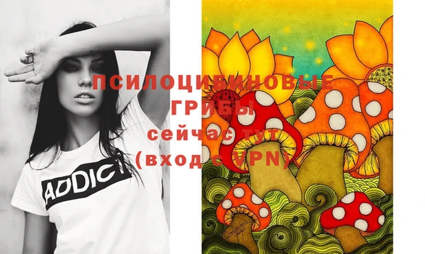 ГАЛЛЮЦИНОГЕННЫЕ ГРИБЫ Горнозаводск