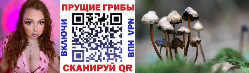 Галлюциногенные грибы мухоморы  Стерлитамак 